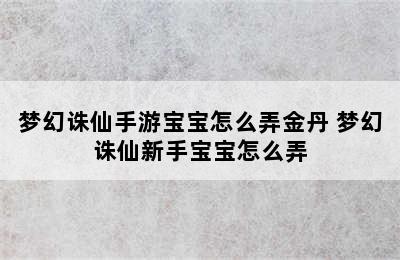 梦幻诛仙手游宝宝怎么弄金丹 梦幻诛仙新手宝宝怎么弄